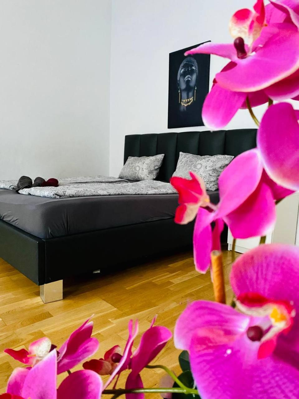 Family Apartment Th8 8 Vídeň Exteriér fotografie